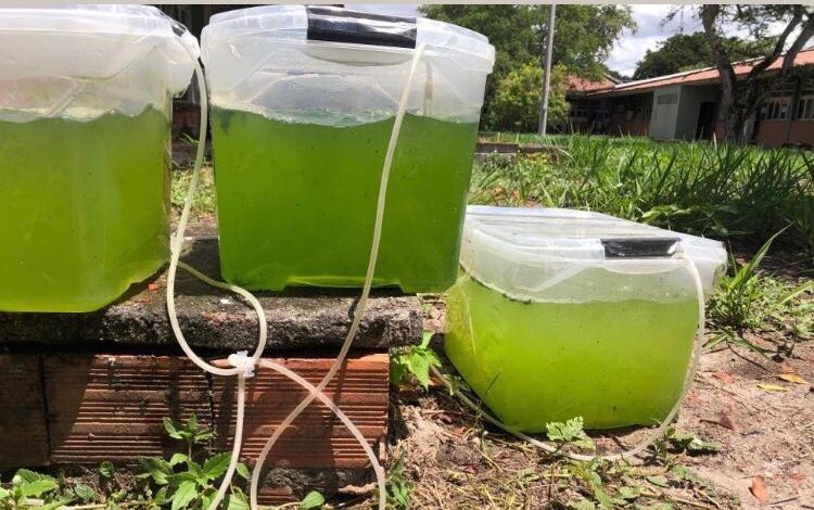 Programa Centelha apoia ideia sustentável para tratamento de efluentes